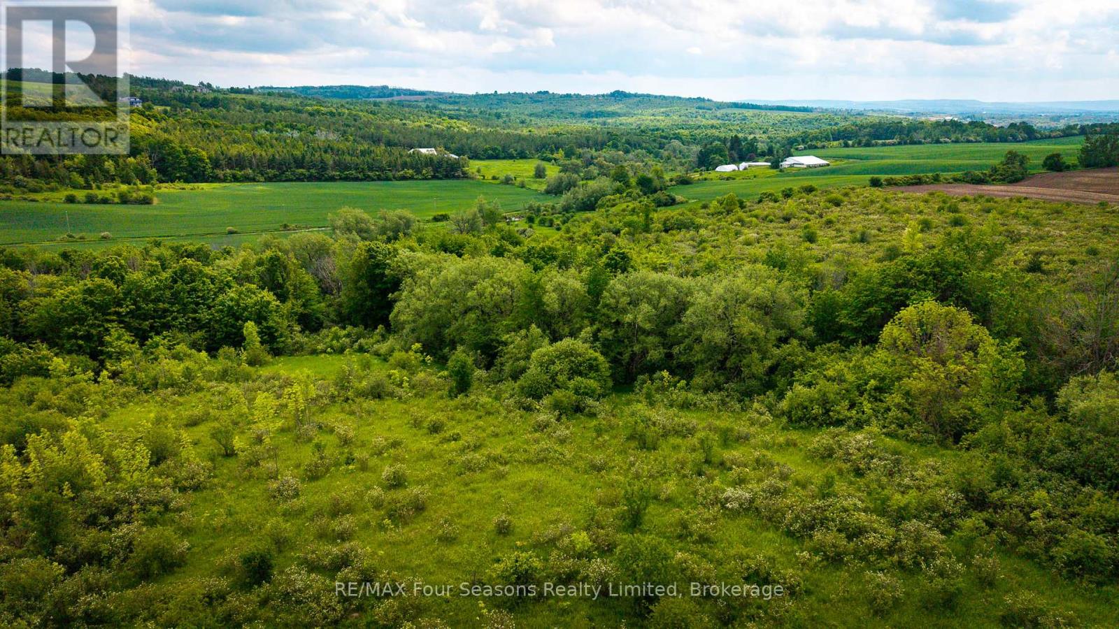 Con 7 21 Side Road, Blue Mountains, Ontario  N0H 1J0 - Photo 11 - X12218416