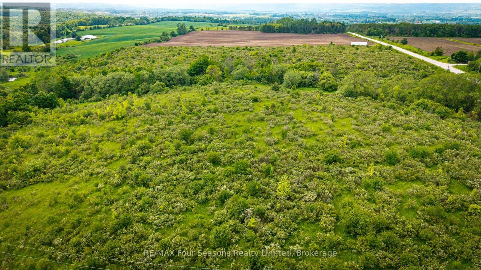 Con 7 21 Side Road, Blue Mountains, Ontario  N0H 1J0 - Photo 12 - X12218416