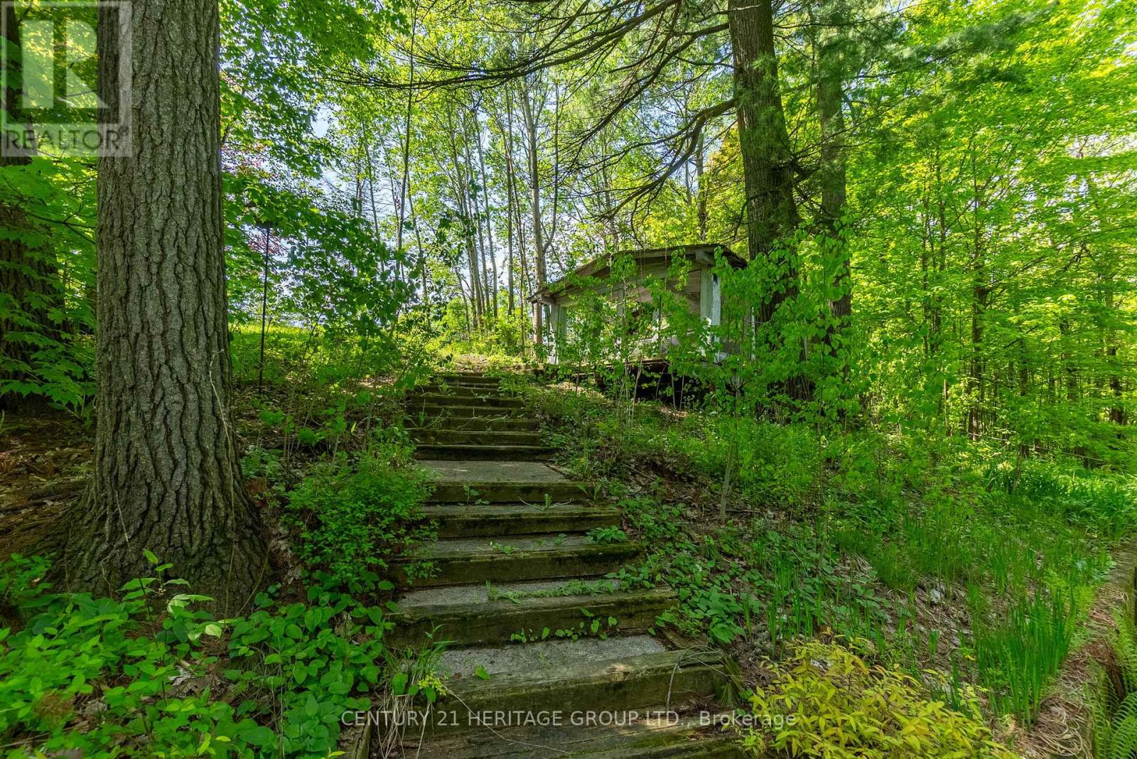 300 Old Bathurst Street, King, Ontario  L7B 1K5 - Photo 45 - N12218456