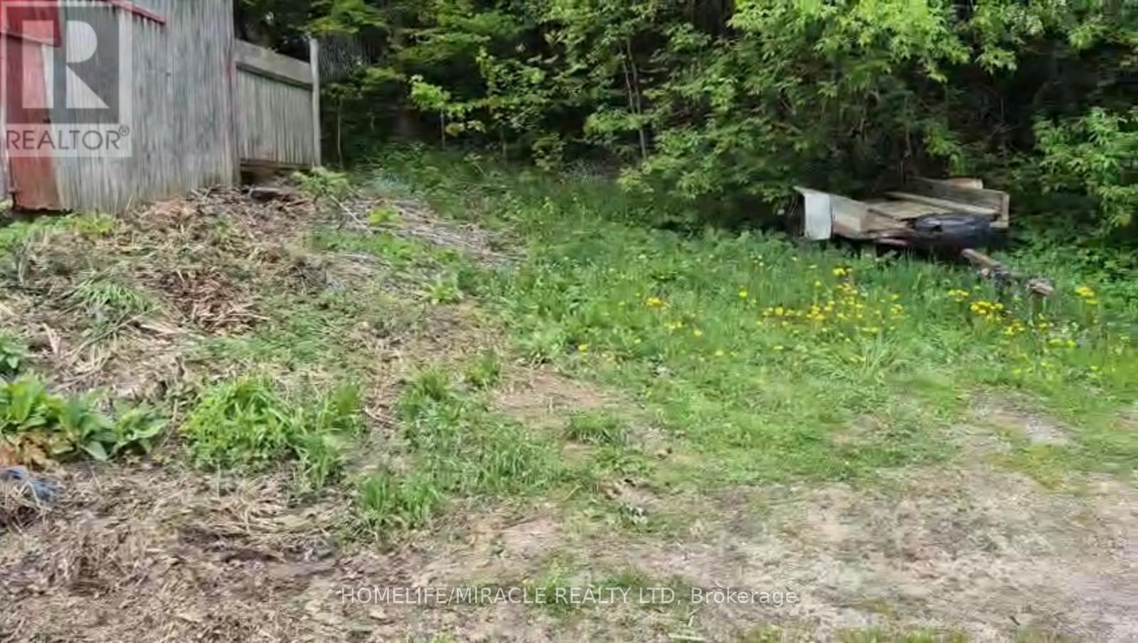 18 Collingwood Street, Grey Highlands, Ontario  N0C 1E0 - Photo 30 - X11979367