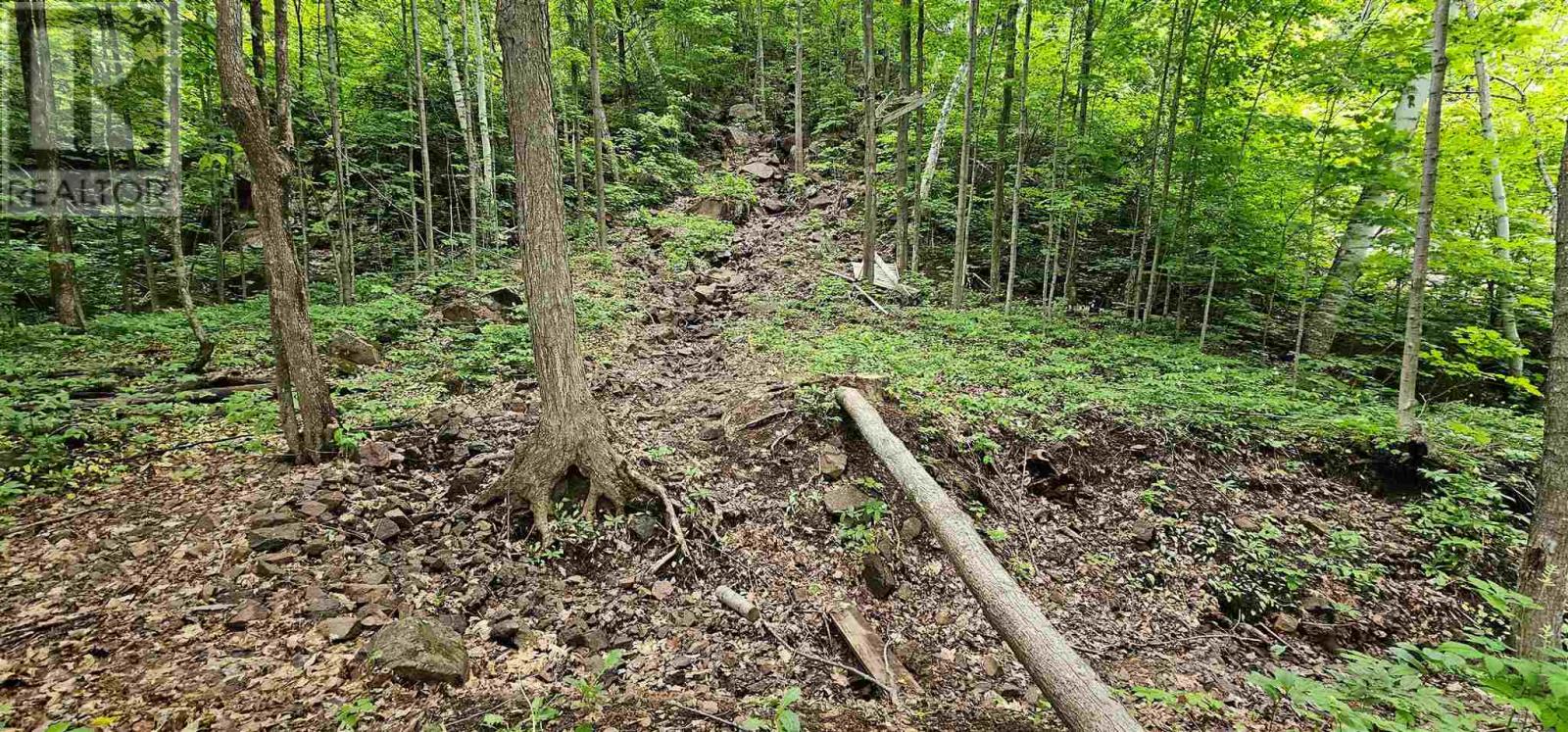 2934 Second Lin W, Prince Township, Ontario  P6A 6K4 - Photo 37 - SM251523