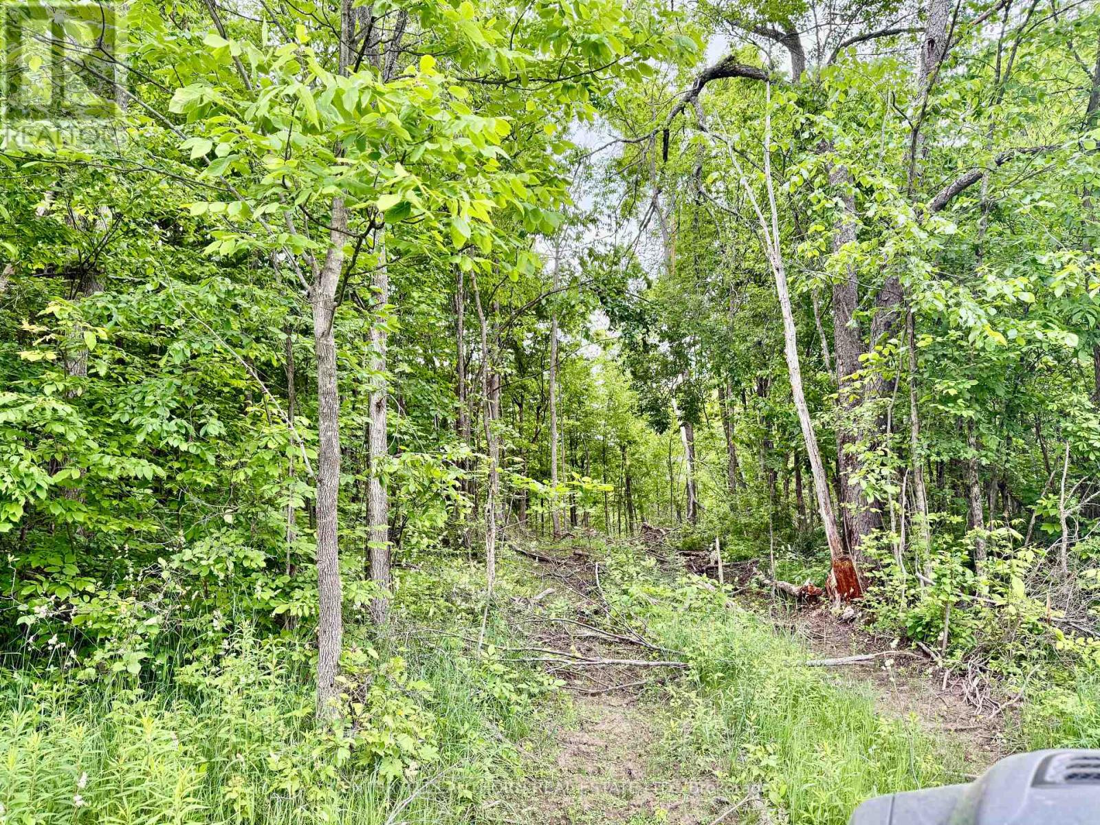 00 Cooper Road, Madoc, Ontario  K0K 2K0 - Photo 9 - X11896154