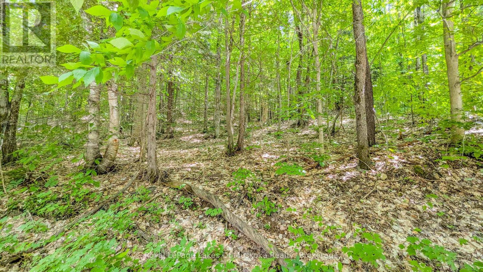 0 Rosseau Lake Rd 1, Muskoka Lakes, Ontario  P0B 1M0 - Photo 2 - X12198417
