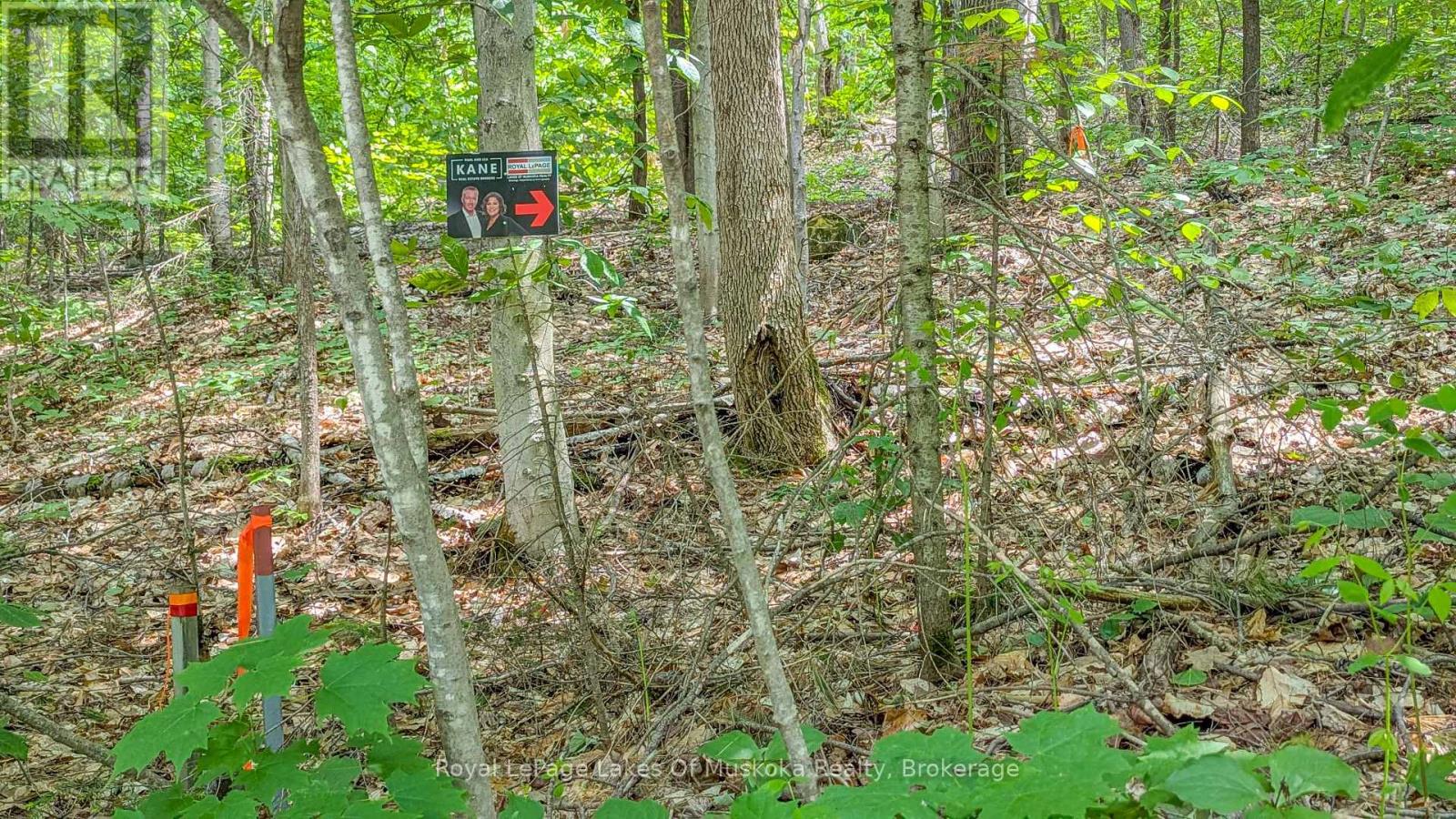 0 Rosseau Lake Rd 1, Muskoka Lakes, Ontario  P0B 1M0 - Photo 4 - X12198417