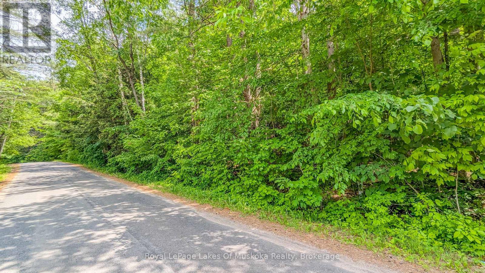 0 Rosseau Lake Rd 1, Muskoka Lakes, Ontario  P0B 1M0 - Photo 9 - X12198417
