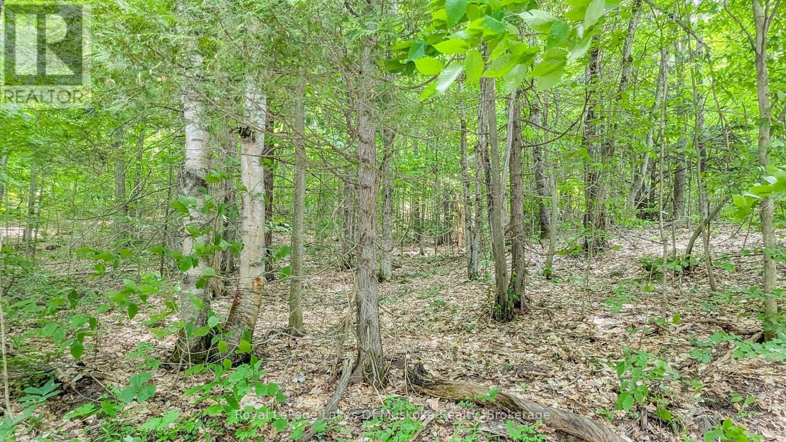 0 ROSSEAU LAKE RD 1, Muskoka Lakes, Ontario