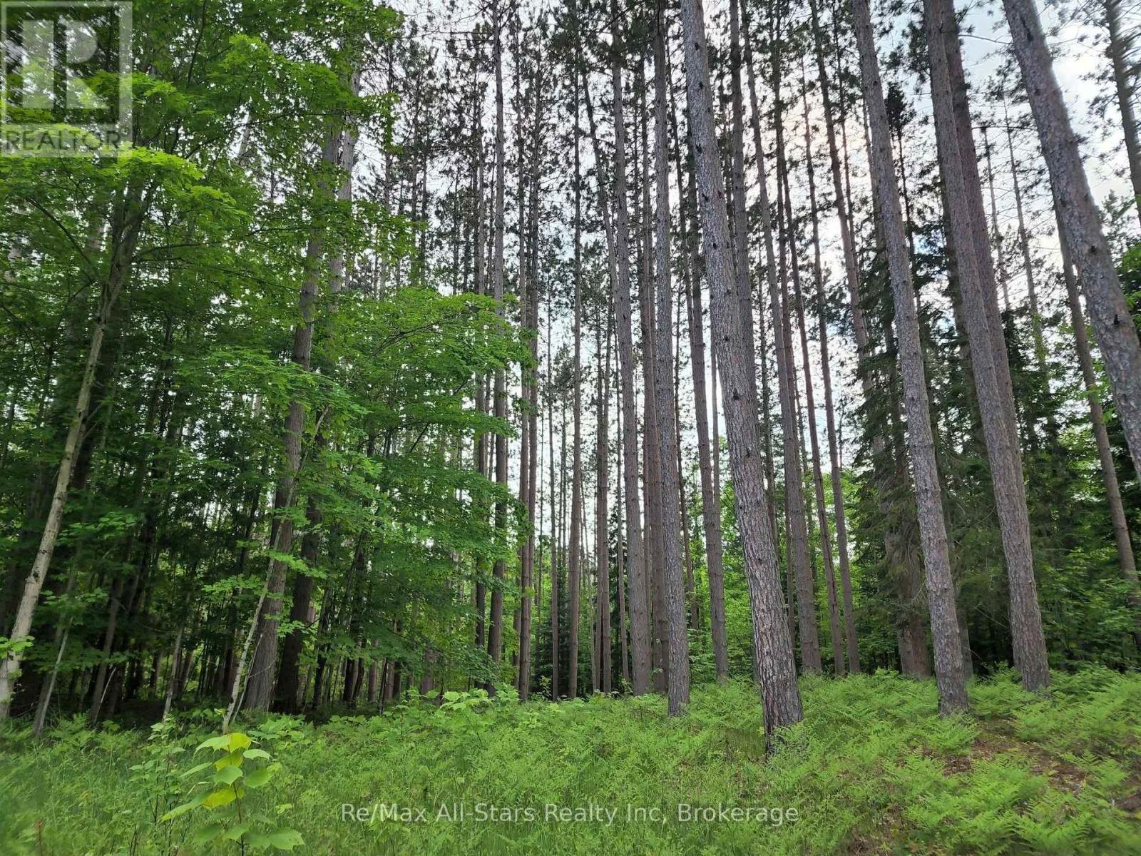 1386 South Portage Road, Lake Of Bays, Ontario  P1H 2J6 - Photo 14 - X12212667