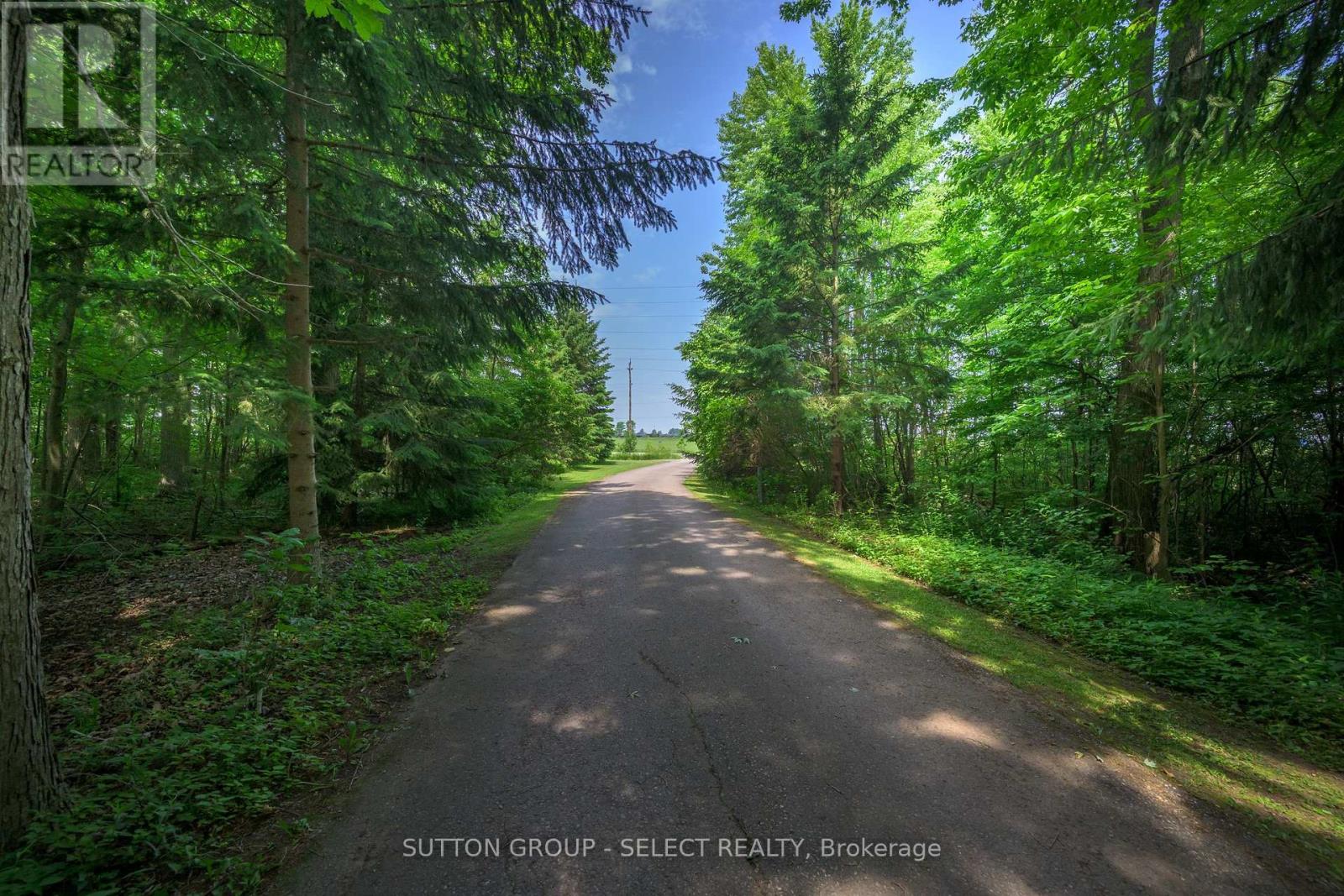 40979 Major Line, St. Thomas, Ontario  N5P 3T2 - Photo 5 - X12218741