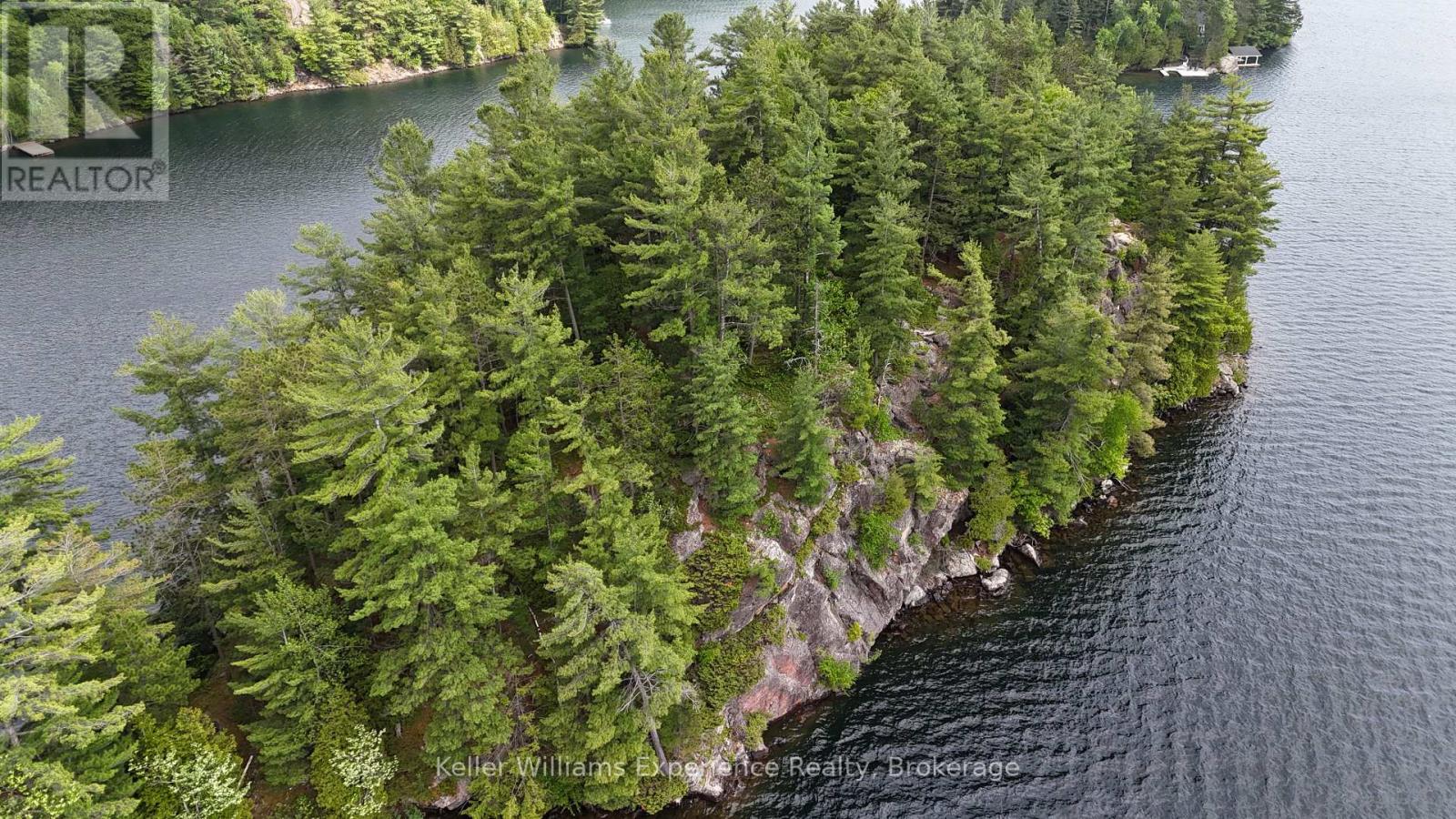 11 Island Skeleton Lake 14, Muskoka Lakes, Ontario  P0B 1M0 - Photo 8 - X12218765