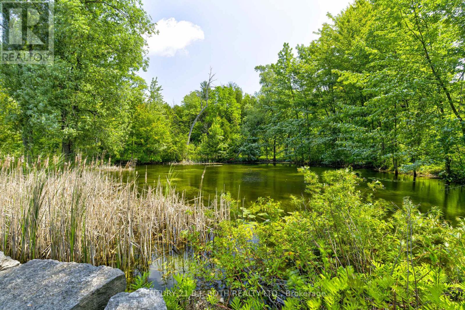 10457 Darkwood Road, Milton, Ontario  L0P 1J0 - Photo 48 - W12218491