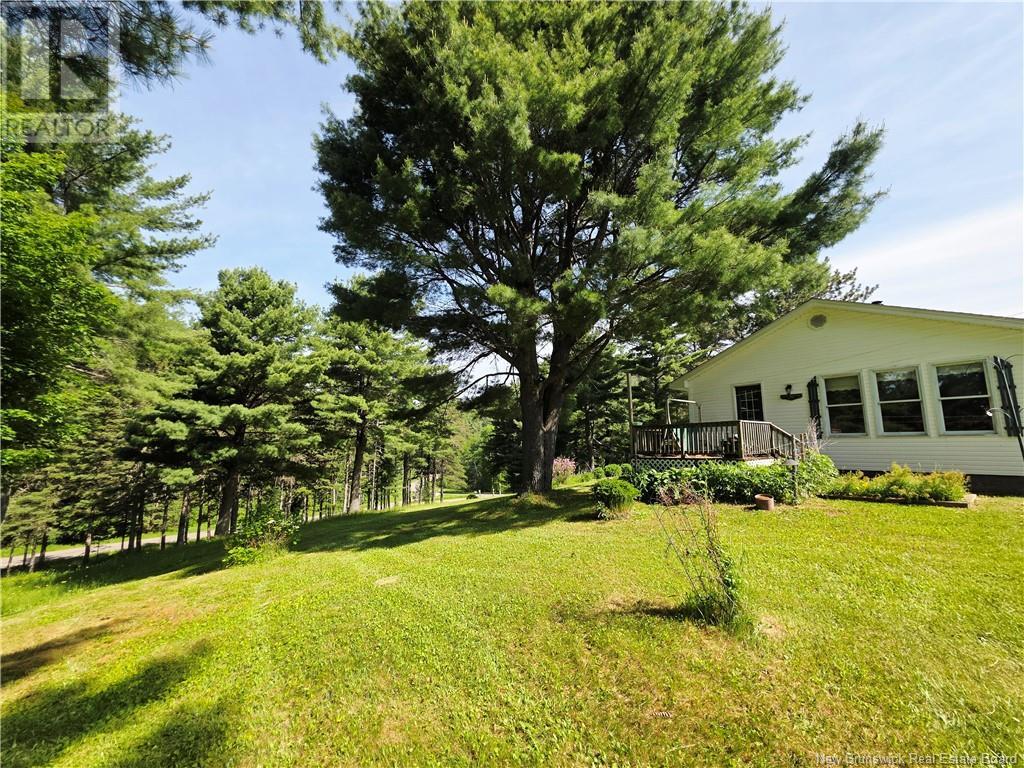 992 Prosser Brook Road, Prosser Brook, New Brunswick  E4Z 2G2 - Photo 11 - NB120648