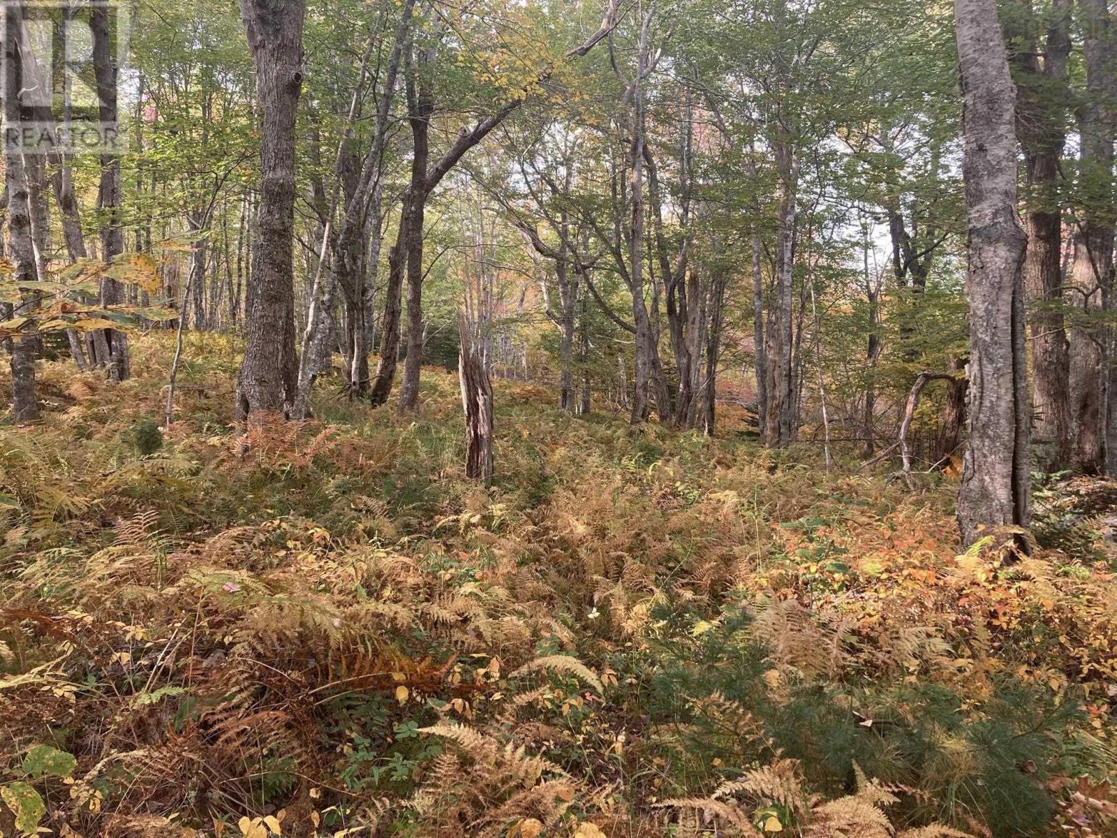 Lot No 103 Highway, East Sable River, Nova Scotia  B0T 1S0 - Photo 4 - 202514562