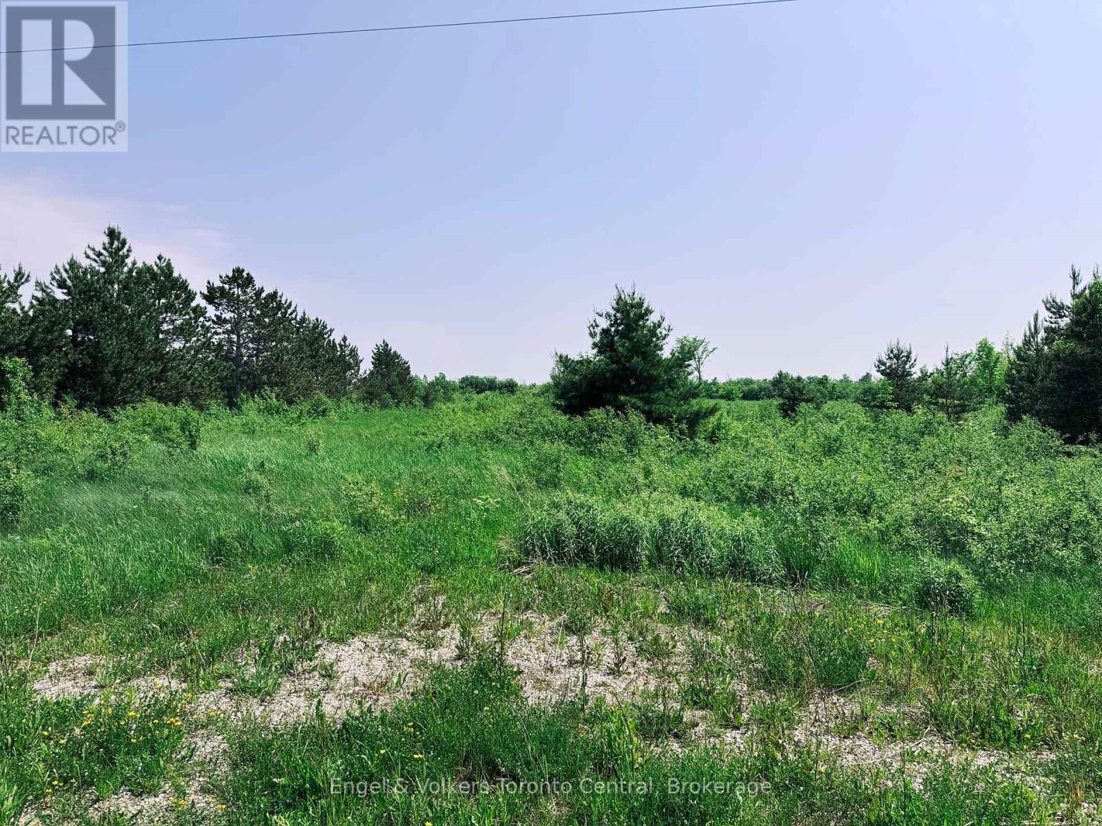 121 Robertson Avenue, Meaford, Ontario  N4L 1W7 - Photo 4 - X12212492
