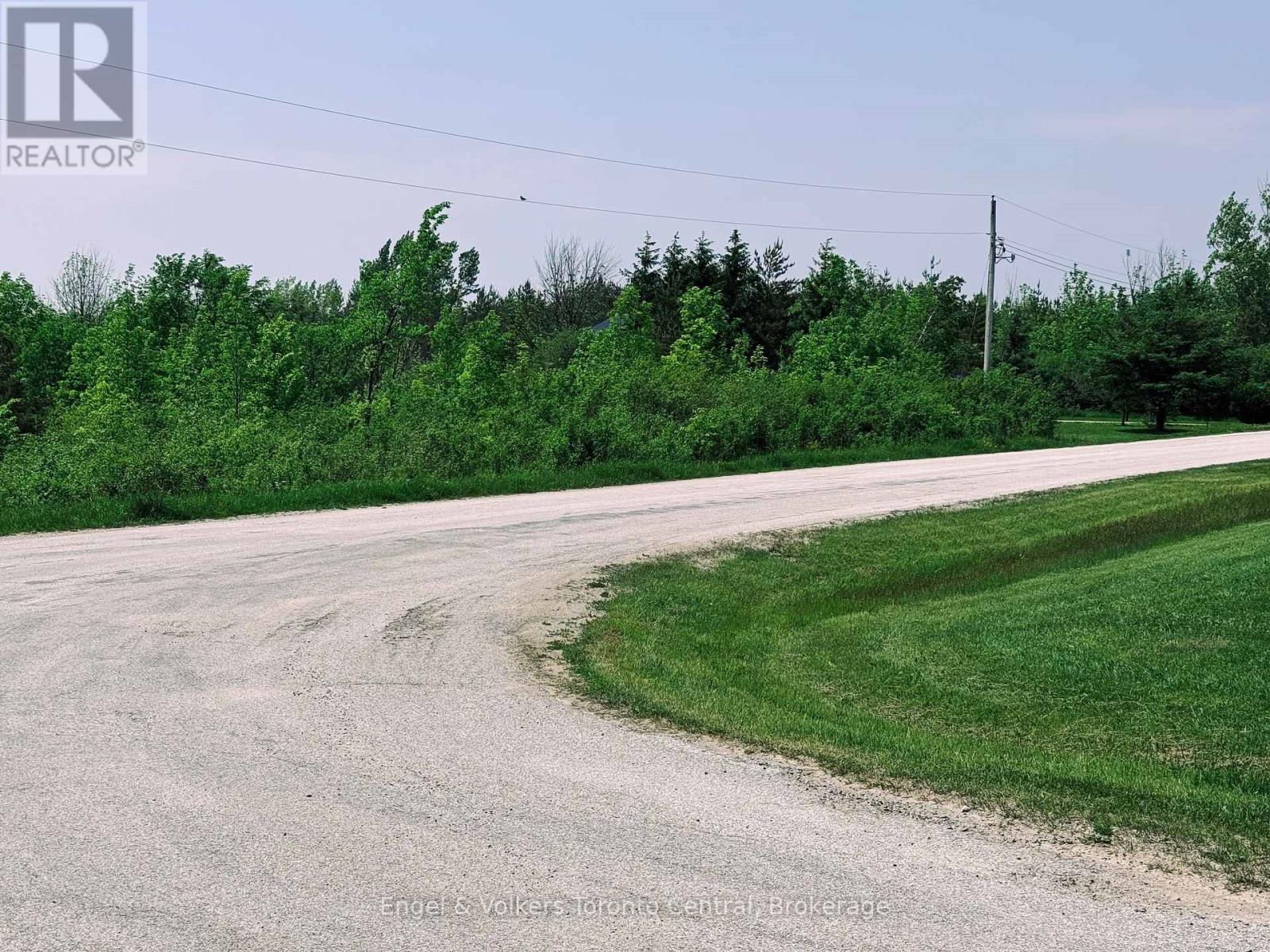 121 Robertson Avenue, Meaford, Ontario  N4L 1W7 - Photo 3 - X12212492