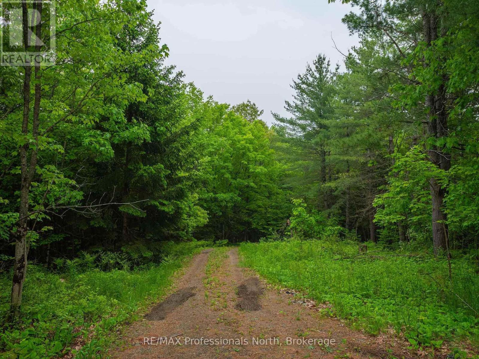 1129 Koshlong Lake Road, Dysart Et Al, Ontario  K0M 1S0 - Photo 38 - X12219081