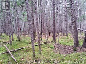 Lot 2022-2 Melanson Lane, Rusagonis, New Brunswick  E3B 8Y6 - Photo 2 - NB120758
