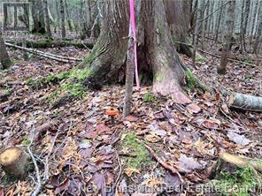 Lot 2022-2 Melanson Lane, Rusagonis, New Brunswick  E3B 8Y6 - Photo 3 - NB120758
