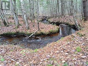 Lot 2022-2 Melanson Lane, Rusagonis, New Brunswick  E3B 8Y6 - Photo 4 - NB120758