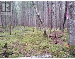 Lot 2022-2 Melanson Lane, rusagonis, New Brunswick