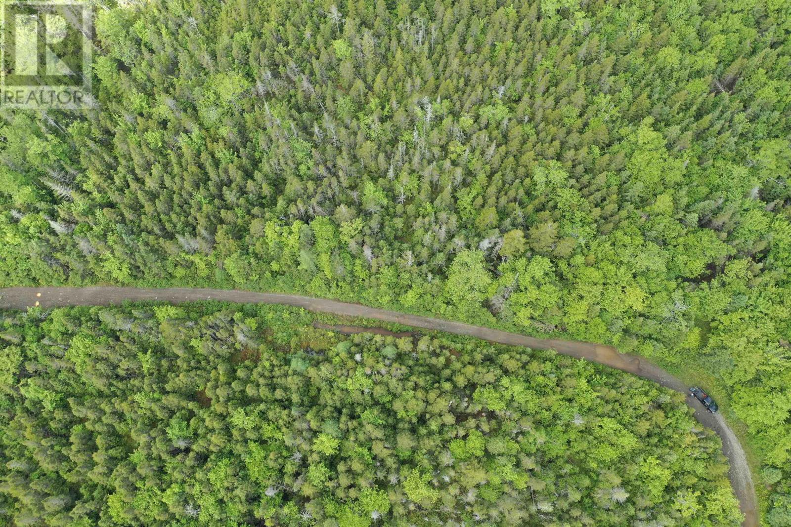 Grant 16738 Moser River North Road, Moser River, Nova Scotia  B0J 2K0 - Photo 12 - 202514567