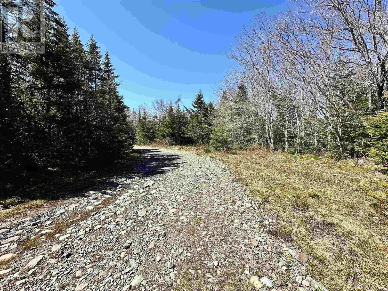 Grant 16738 Moser River North Road, Moser River, Nova Scotia  B0J 2K0 - Photo 7 - 202514567