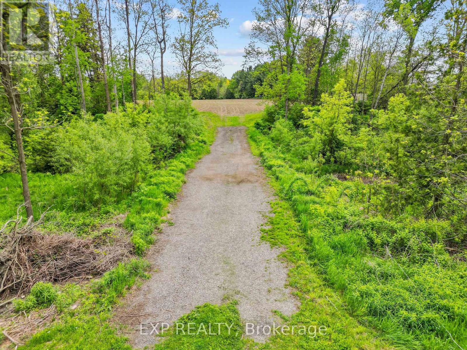 3109 Napperton Drive, Adelaide Metcalfe, Ontario  N7G 3H8 - Photo 4 - X12219390