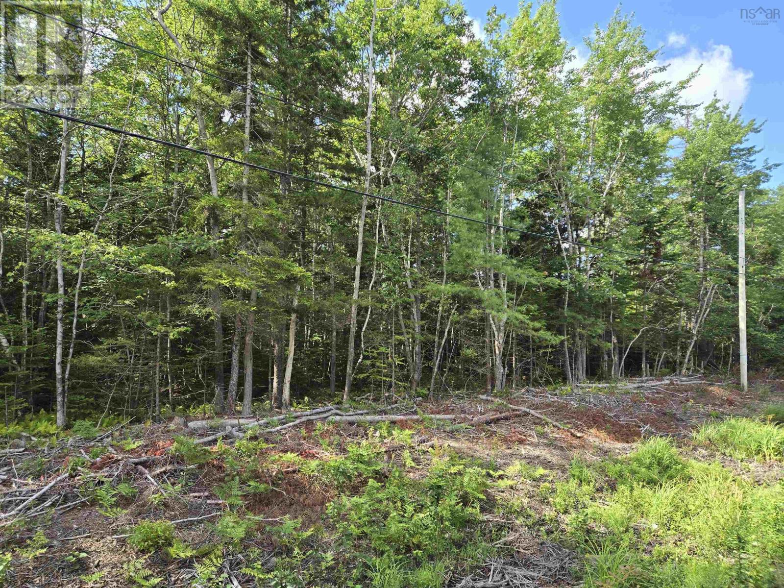 Lot 1 Conquerall Road, Conquerall Bank, Nova Scotia  B4V 0J6 - Photo 1 - 202419315
