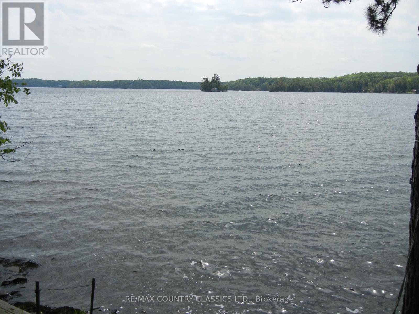 316 Trotter-Oitment Road, North Kawartha, Ontario  K0L 1A0 - Photo 7 - X12216685