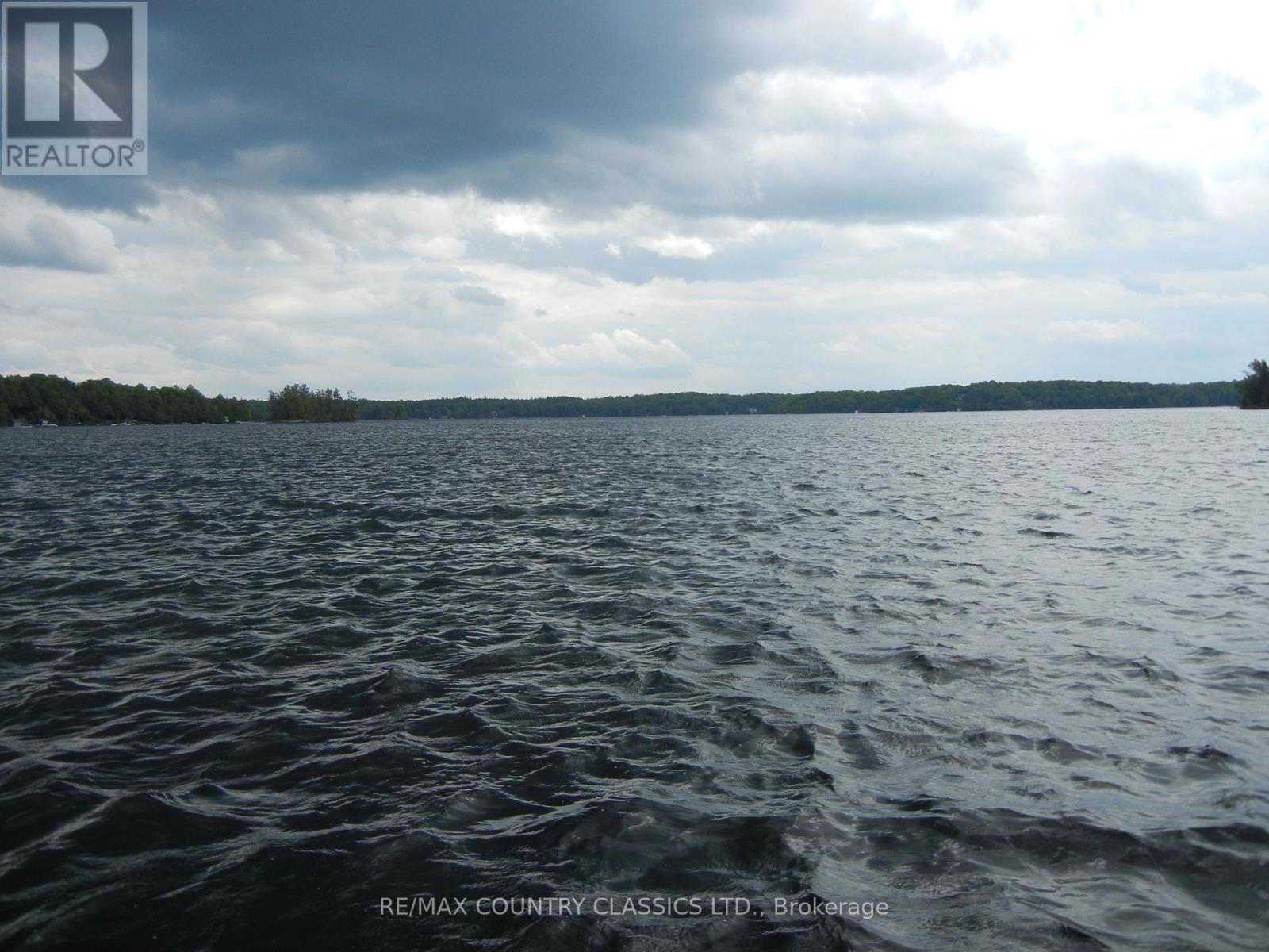 316 Trotter-Oitment Road, North Kawartha, Ontario  K0L 1A0 - Photo 9 - X12216685