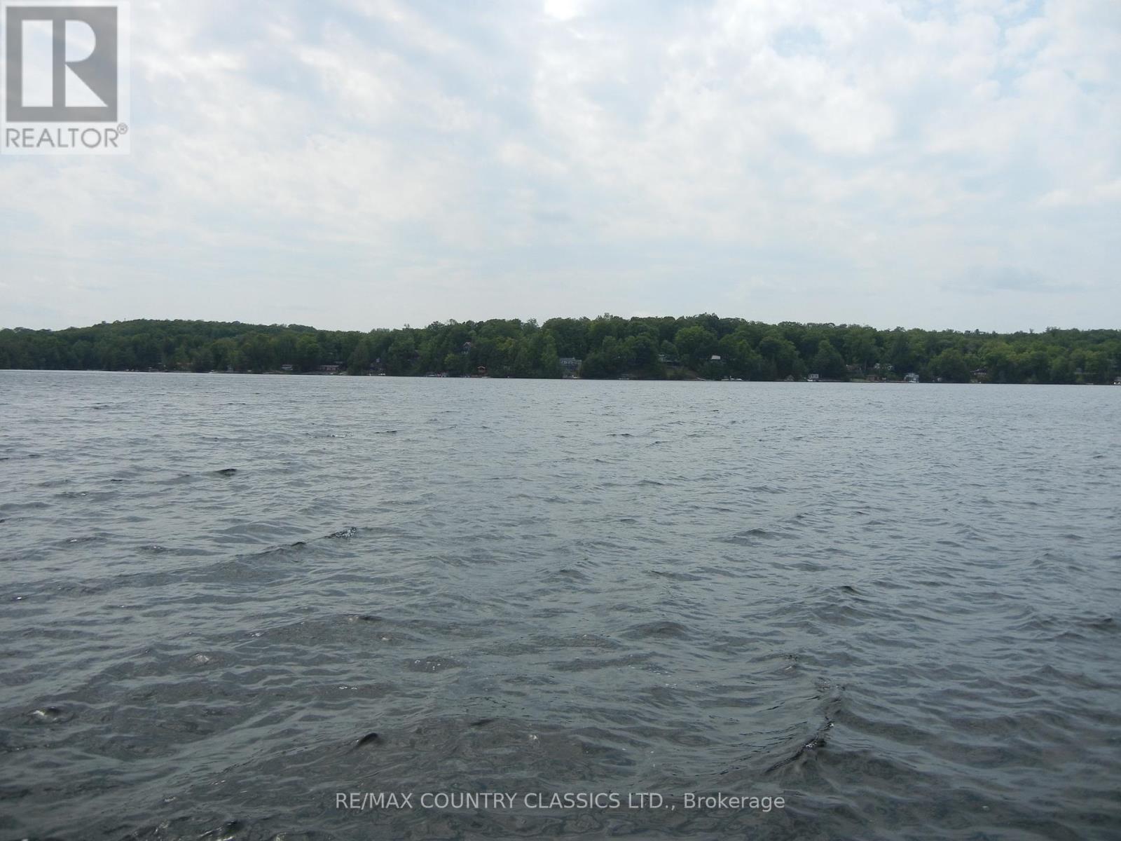 316 Trotter-Oitment Road, North Kawartha, Ontario  K0L 1A0 - Photo 10 - X12216685