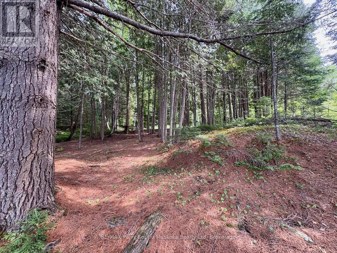 490 North Meadowcove Road, Whitestone, Ontario  P0A 1G0 - Photo 13 - X12219550