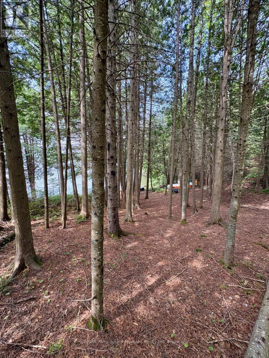 490 North Meadowcove Road, Whitestone, Ontario  P0A 1G0 - Photo 14 - X12219550