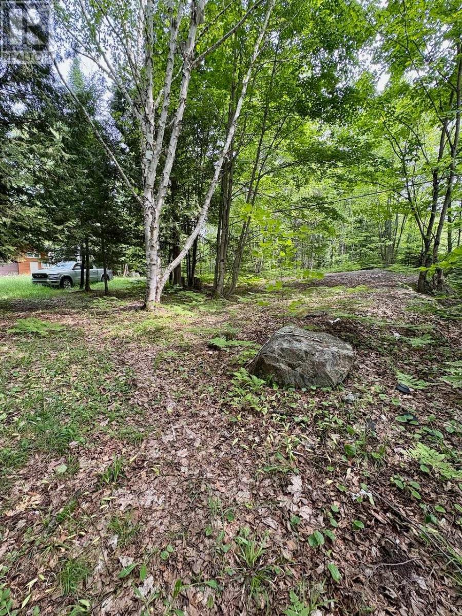 490 North Meadowcove Road, Whitestone, Ontario  P0A 1G0 - Photo 15 - X12219550