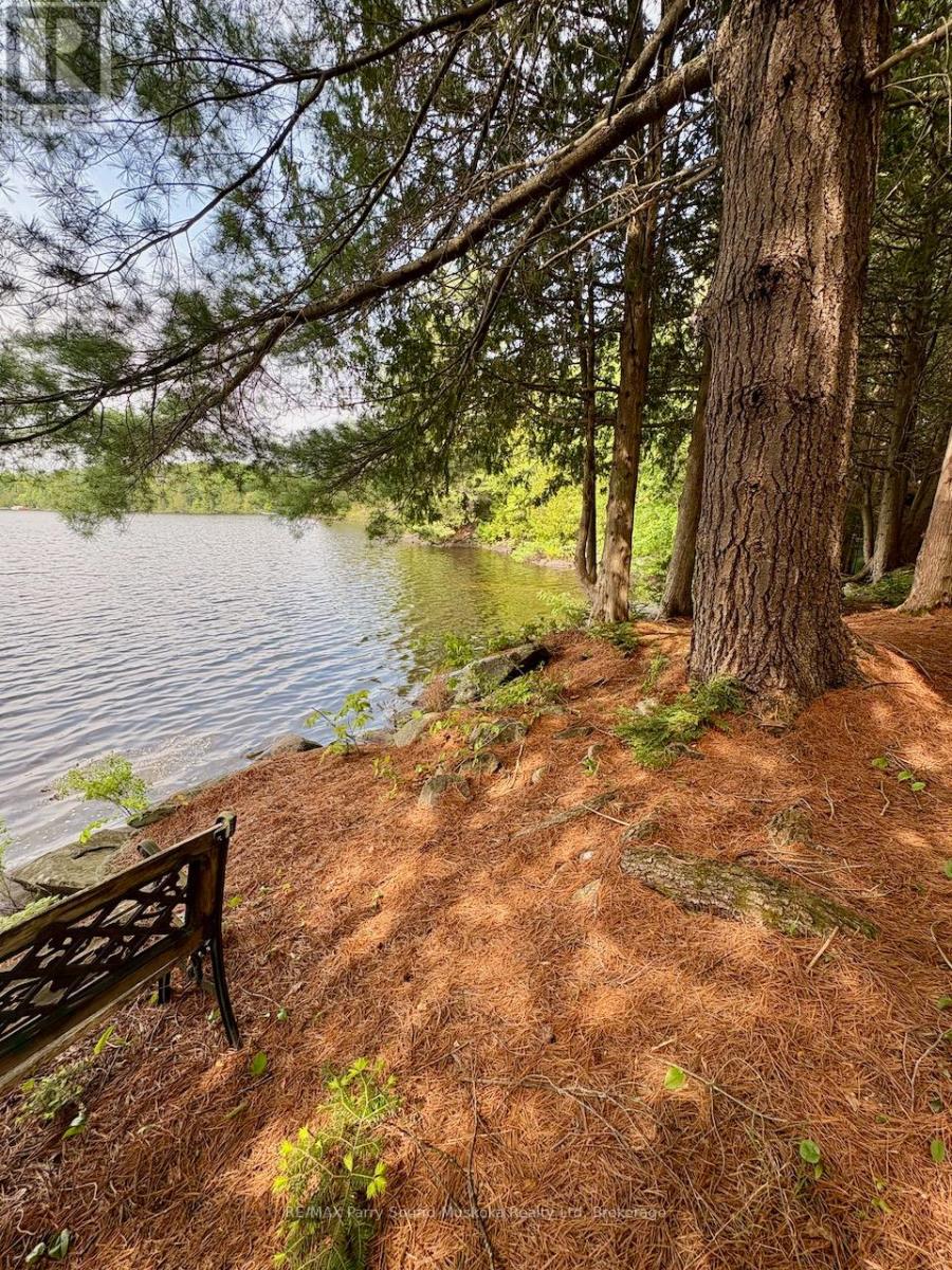 490 North Meadowcove Road, Whitestone, Ontario  P0A 1G0 - Photo 3 - X12219550