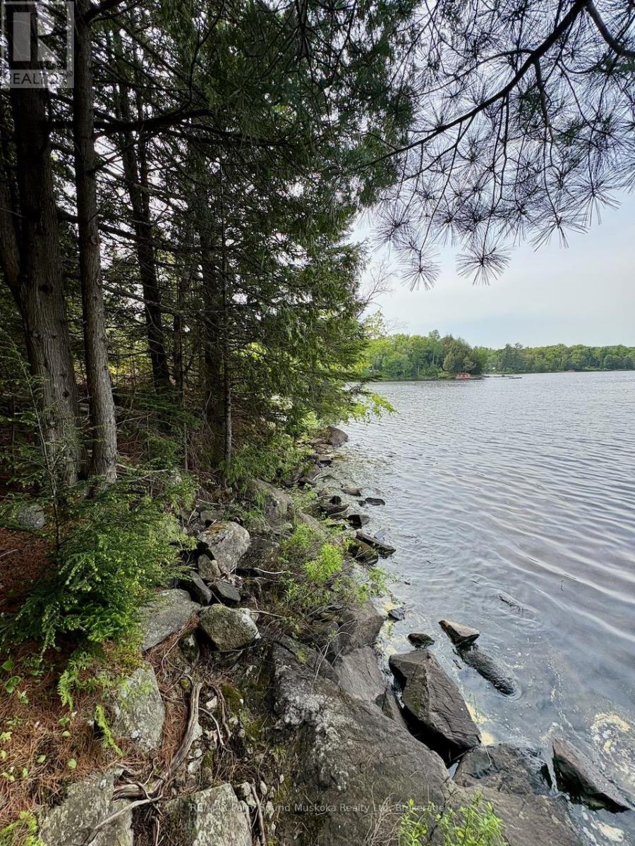 490 North Meadowcove Road, Whitestone, Ontario  P0A 1G0 - Photo 6 - X12219550