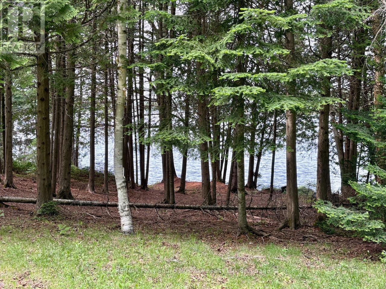 490 North Meadowcove Road, Whitestone, Ontario  P0A 1G0 - Photo 7 - X12219550