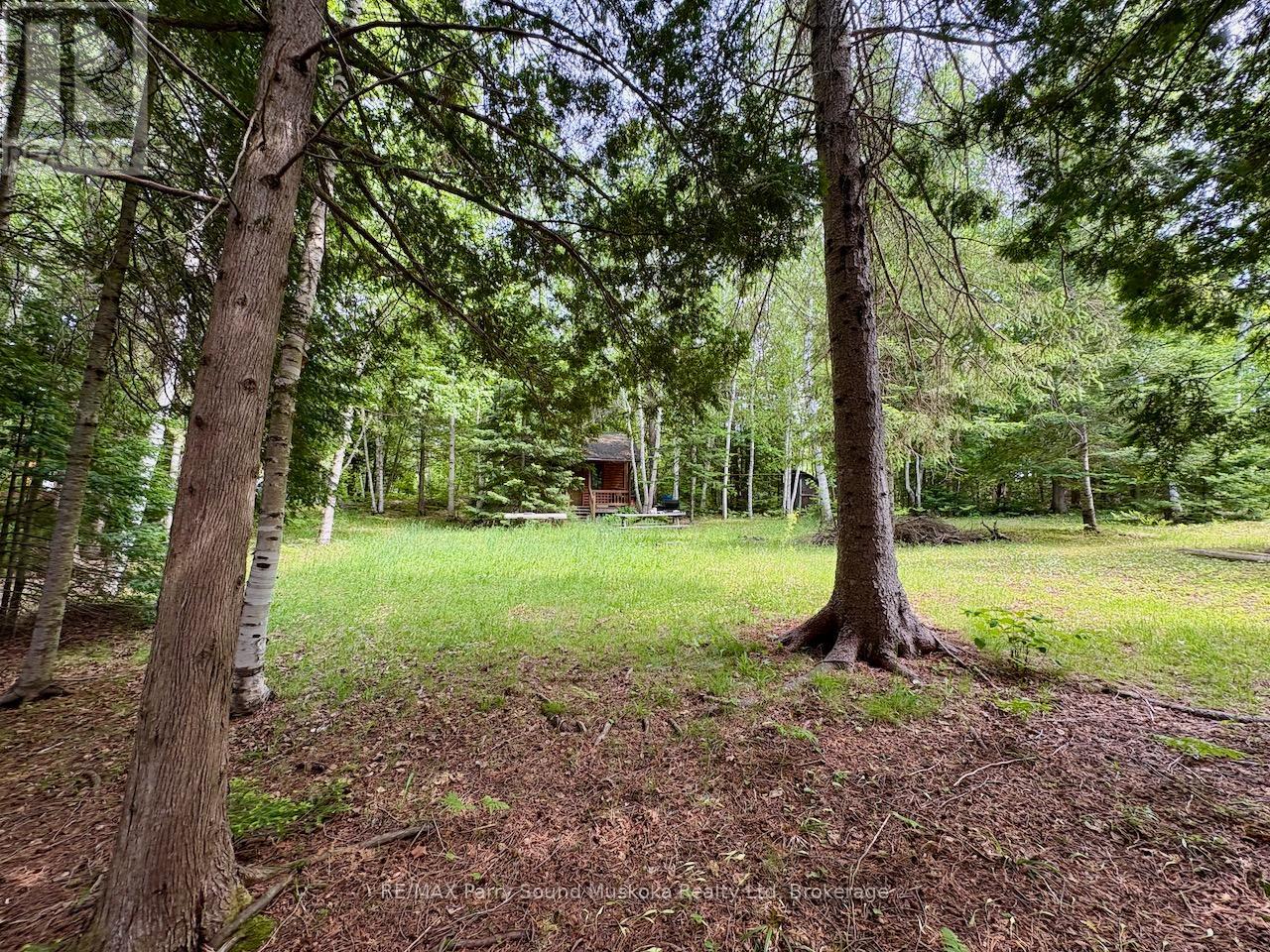490 North Meadowcove Road, Whitestone, Ontario  P0A 1G0 - Photo 8 - X12219550