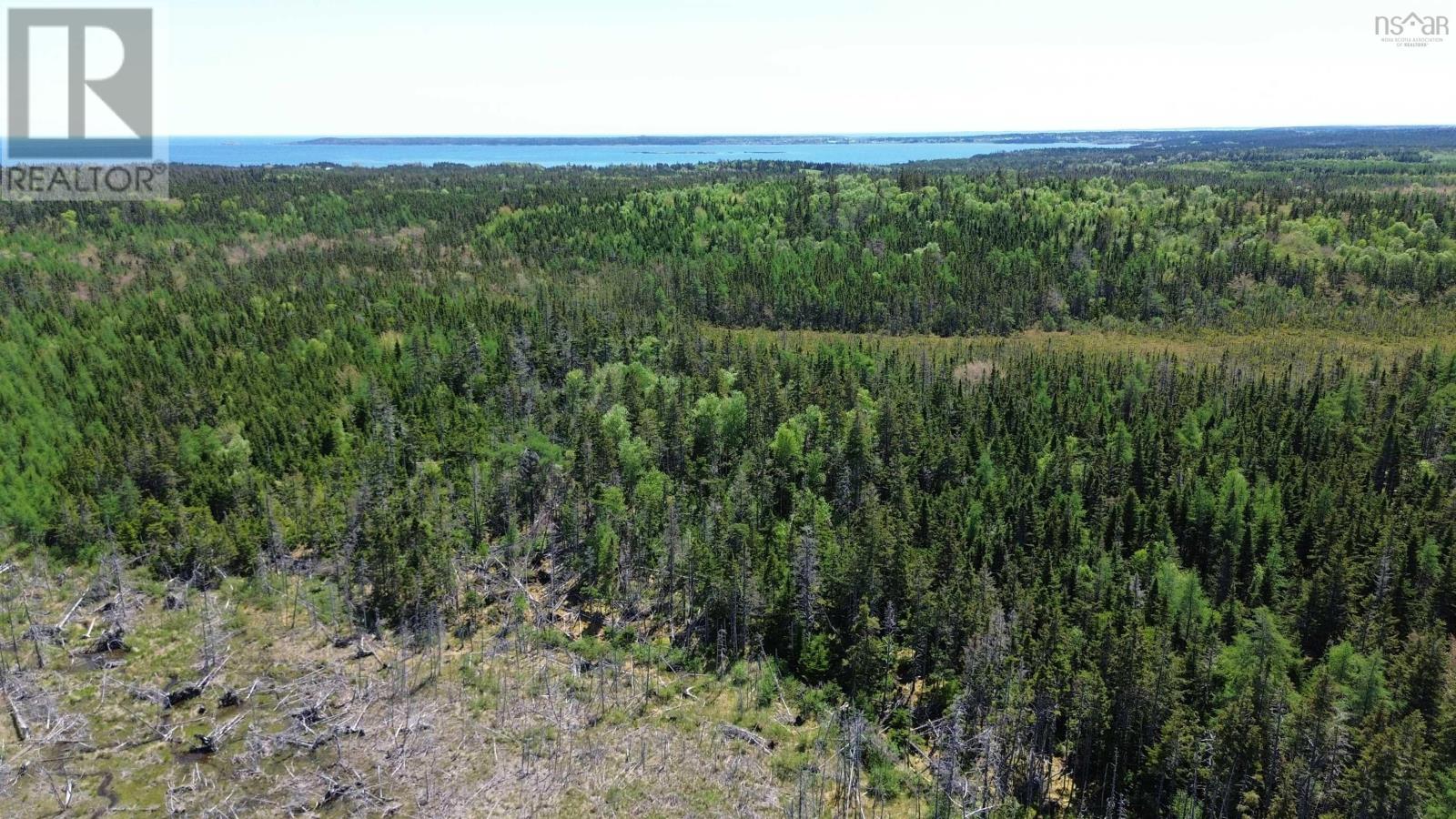 320 Highway, Poulamon, Nova Scotia  B0E 1K0 - Photo 13 - 202514305