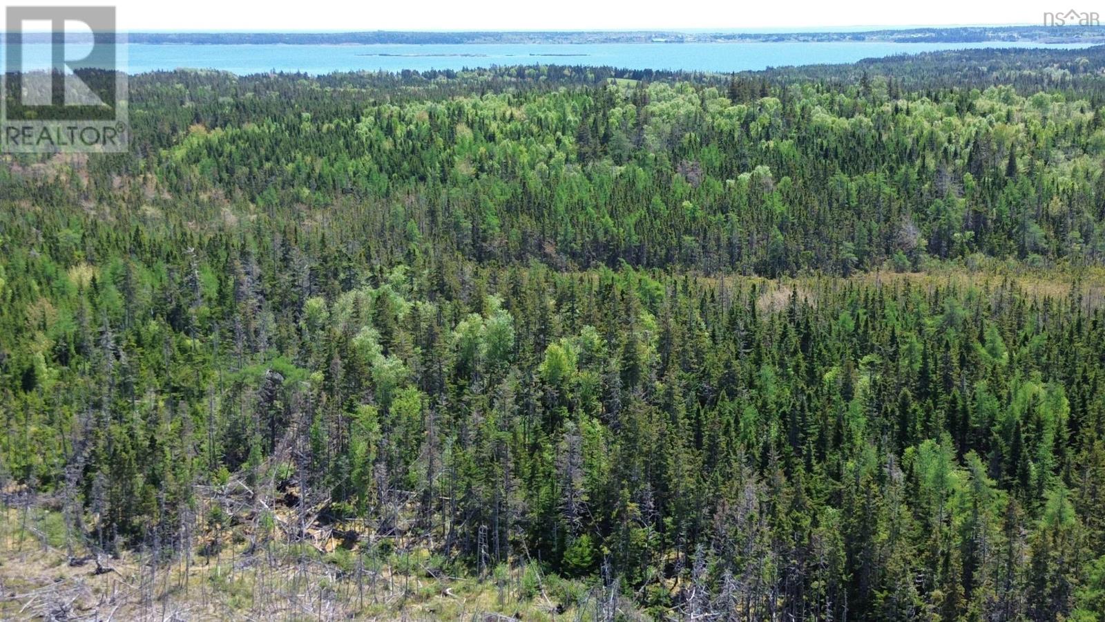 320 Highway, Poulamon, Nova Scotia  B0E 1K0 - Photo 12 - 202514305