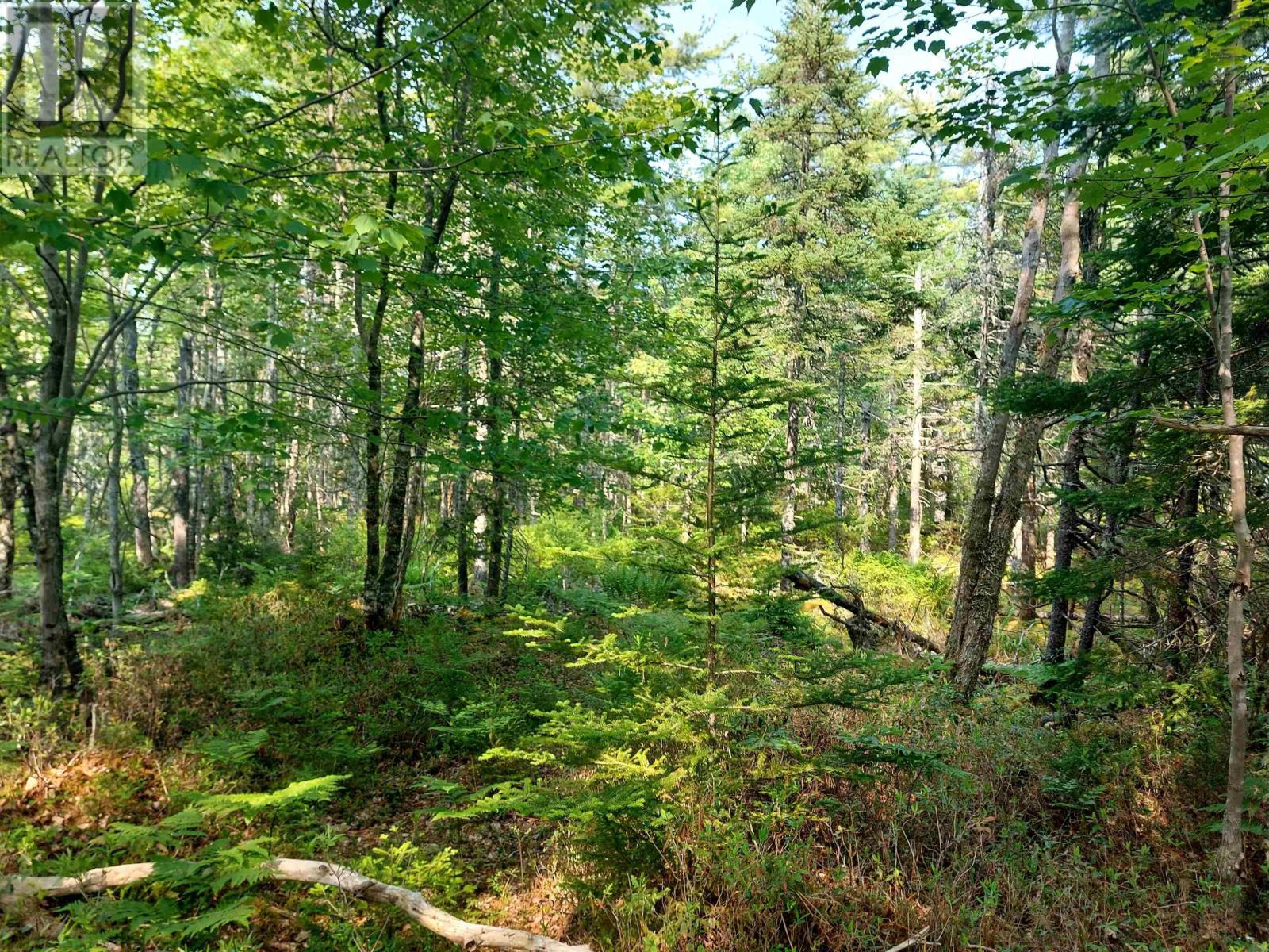 Lot Hartz Point Road, Hartz Point, Nova Scotia  B0T 1W0 - Photo 2 - 202514473