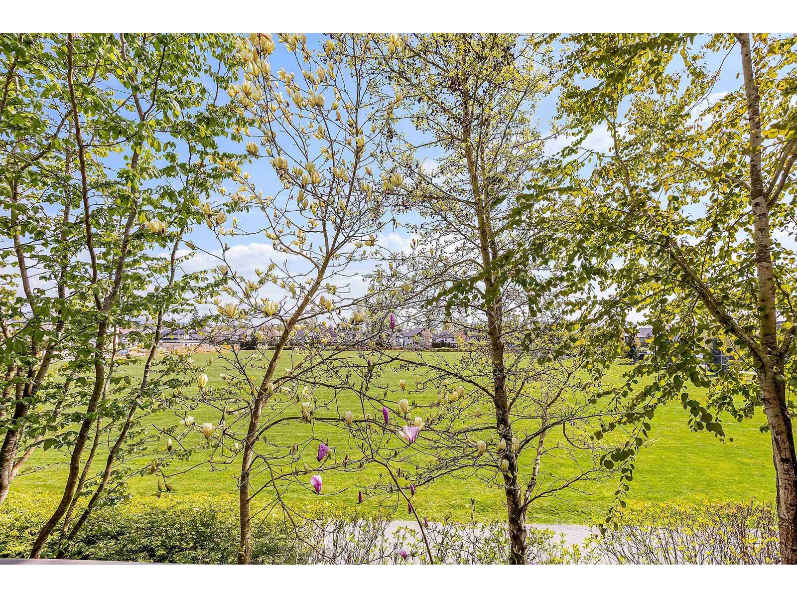 Property at 69 8250 209B STREET image 3