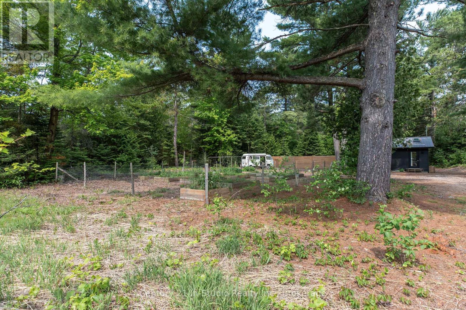 204 Ogimah Road, South Bruce Peninsula, Ontario  N0H 2T0 - Photo 6 - X12219694