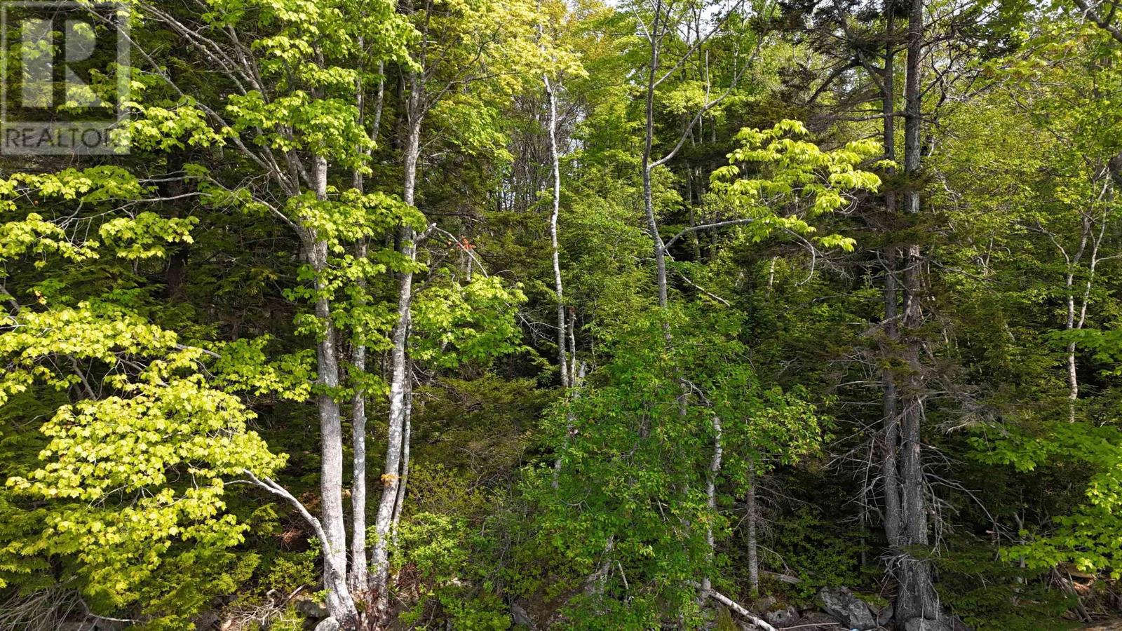 Lot Nathan Croft Road, Camperdown, Nova Scotia  B4V 6T9 - Photo 10 - 202514609