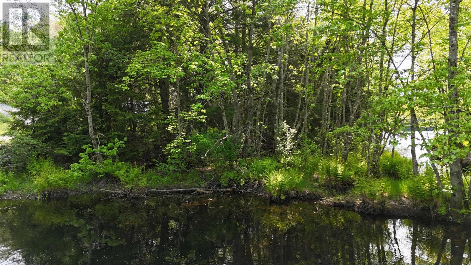 Lot Nathan Croft Road, Camperdown, Nova Scotia  B4V 6T9 - Photo 17 - 202514609
