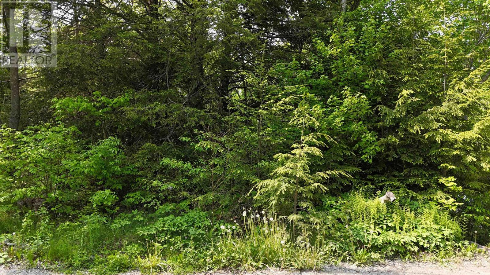 Lot Nathan Croft Road, Camperdown, Nova Scotia  B4V 6T9 - Photo 3 - 202514609