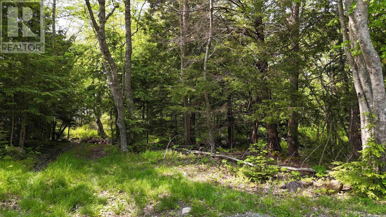 Lot Nathan Croft Road, Camperdown, Nova Scotia  B4V 6T9 - Photo 4 - 202514609