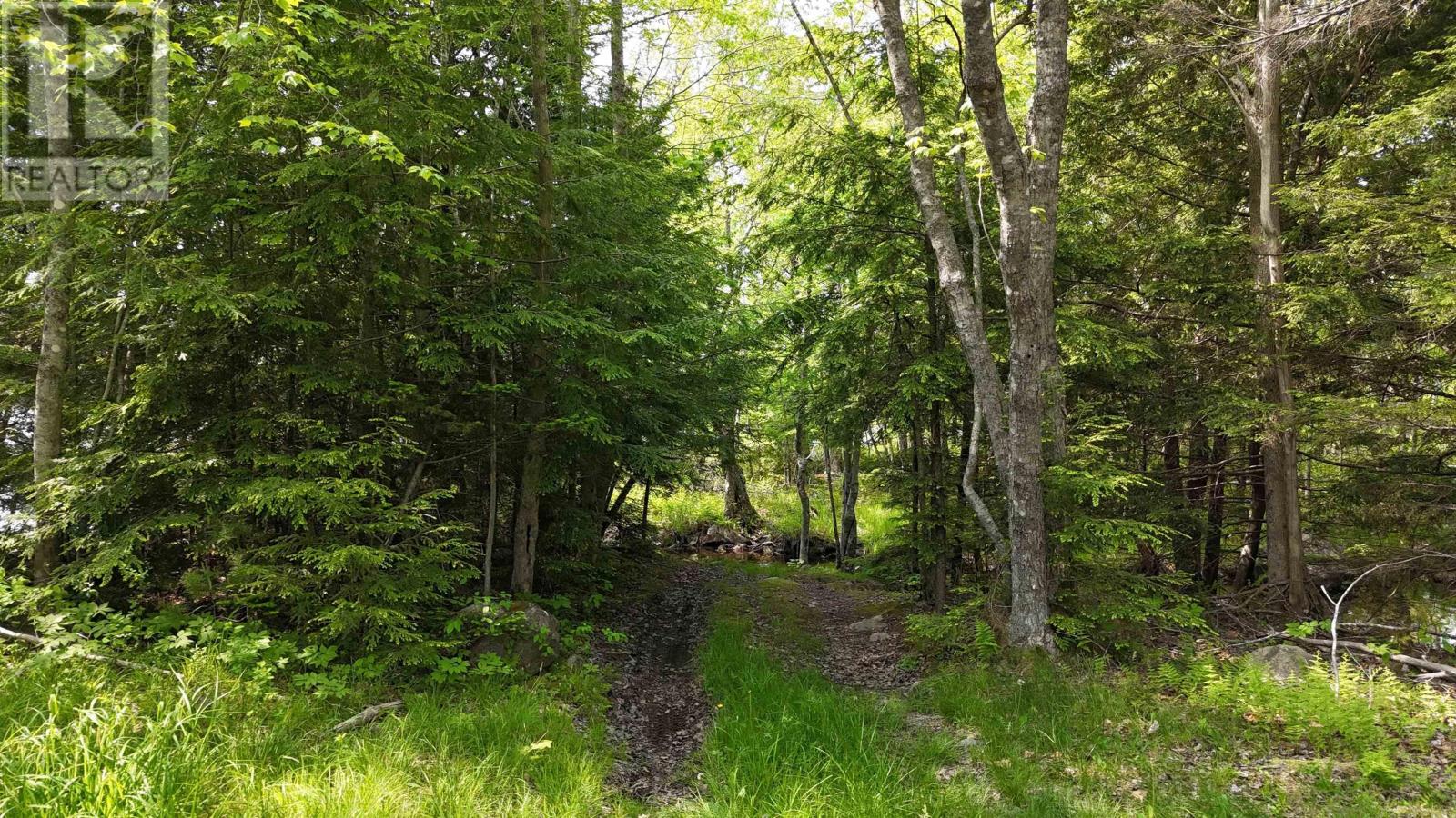 Lot Nathan Croft Road, Camperdown, Nova Scotia  B4V 6T9 - Photo 6 - 202514609