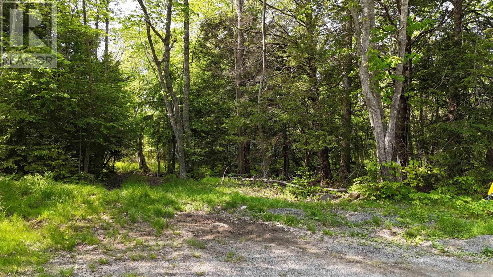 Lot Nathan Croft Road, Camperdown, Nova Scotia  B4V 6T9 - Photo 8 - 202514609
