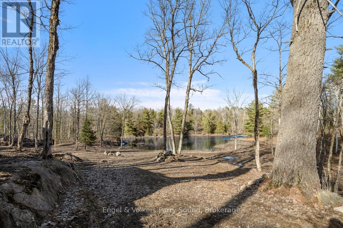 699 Bunny Trail, Whitestone, Ontario  P2A 2W8 - Photo 2 - X12219728