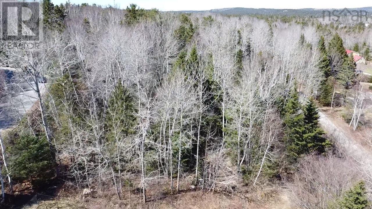Lot 26 Cedar Street, Chester, Nova Scotia  B0J 1J0 - Photo 8 - 202500795